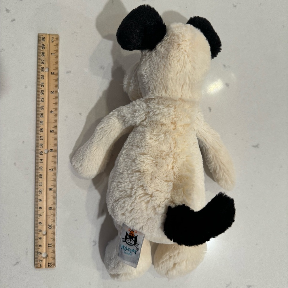 Spotted Dog Bashful Jellycat - Picture 3 of 5